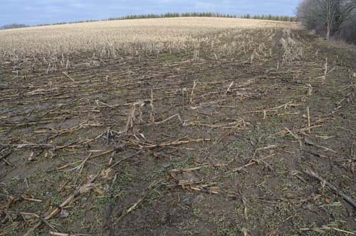 Property photo 59 - 98+/- Acres Offered in 6 Tracts or Combinations, Noble County, Indiana Farm